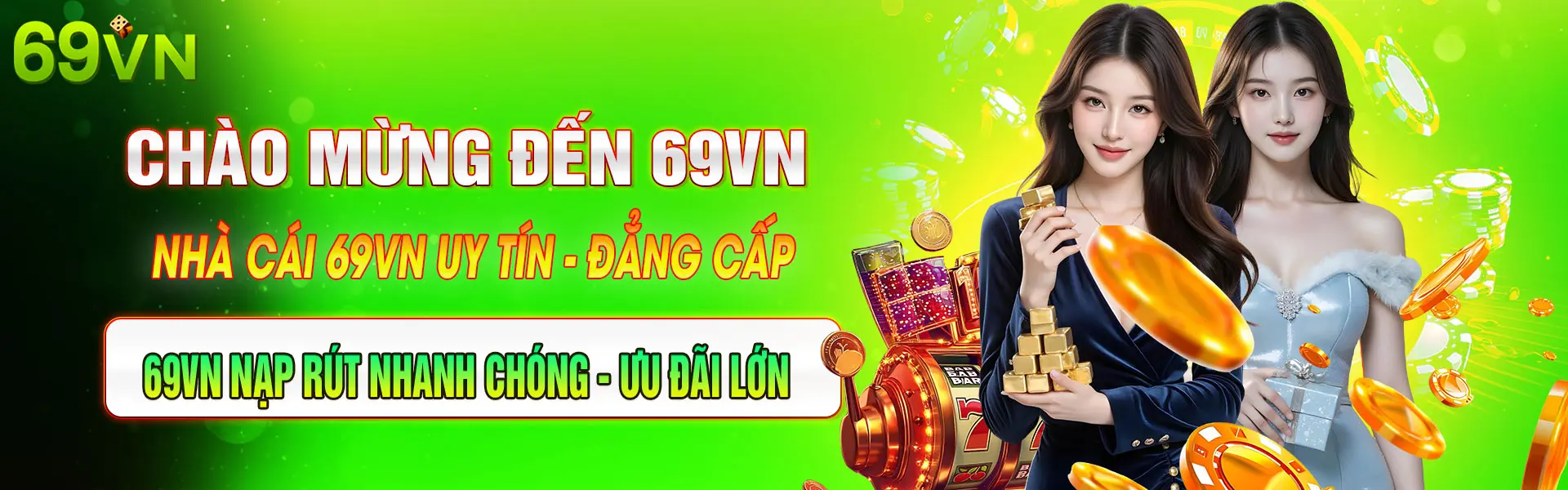 banerr 69vn